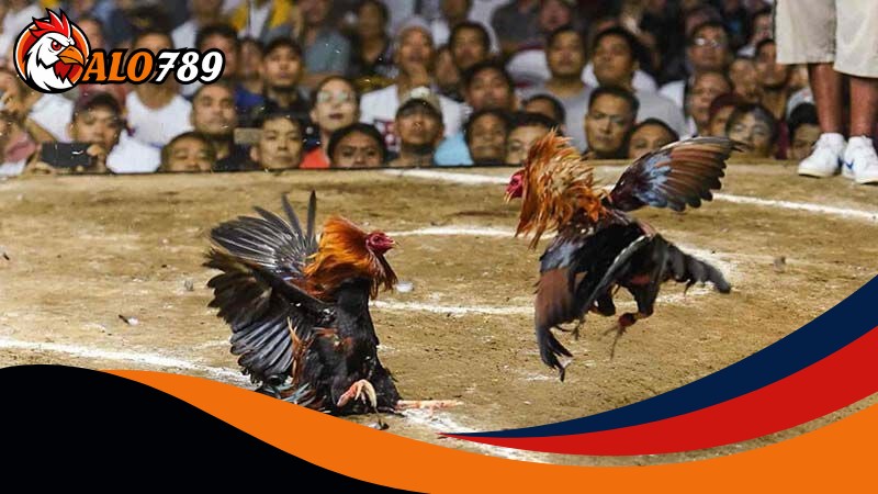Lời khuyên dành cho anh em tân thủ Lời khuyên dành cho anh em tân thủ
